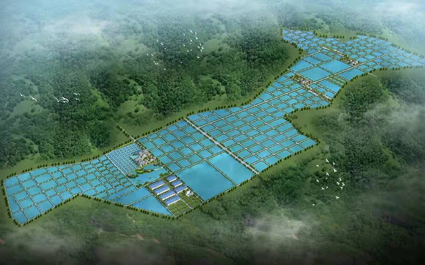推动现代渔业新发展｜70net永乐高成功中标了广西现代渔业种业示范园（核心区）建设项目全过程工程咨询服务项目